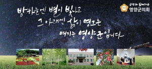 영양군의회