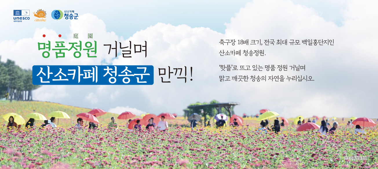 청송군청
