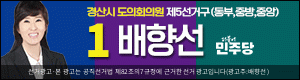 배향선